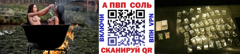 A PVP СК  Гвардейск 