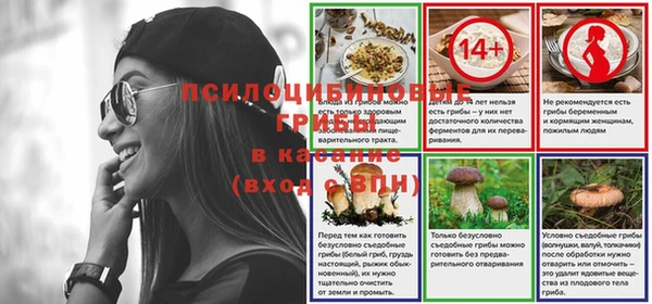 гашик Ветлуга