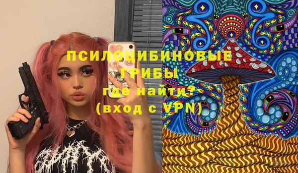 прущие грибы Арсеньев