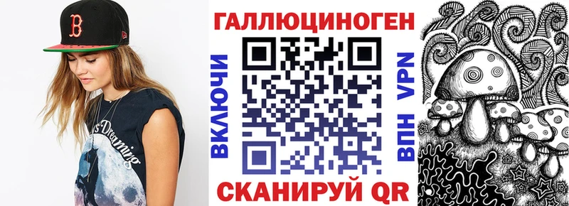 OMG tor  Гвардейск  Псилоцибиновые грибы MAGIC MUSHROOMS 
